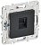 Розетка компьютерная RJ45 кат.5E SKANDY SK-K01G графит IEK SK-K10-1-K53