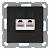 Розетка компьютерная 2-м RJ45 IP20 кат. 5E механизм антрацит Jasmart G6106B