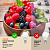 Лампа светодиодная LED Value LVCLP75 10SW/830 10Вт шар матовая E14 230В 10х1 RU OSRAM 4058075579712