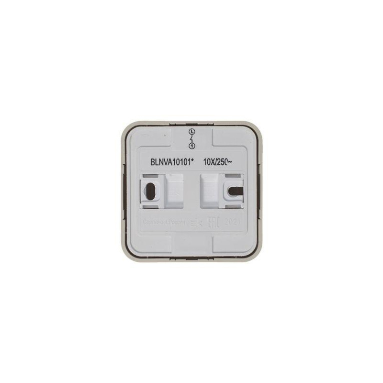Выключатель 1-кл. ОП Blanca 10А IP20 (сх. 1) 250В с изолир. пластиной беж. SE BLNVA101017