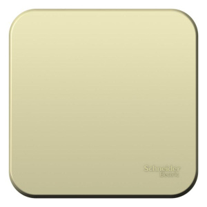 Выключатель 1-кл. ОП Blanca 10А IP20 (сх. 1) 250В с изолир. пластиной беж. SE BLNVA101017