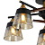 Люстра Buds 60Вт E27х5 IP20 Freya FR5153PL-05B