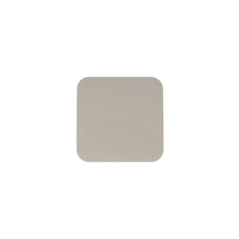 Выключатель 1-кл. ОП Blanca 10А IP20 (сх. 1) 250В с изолир. пластиной беж. SE BLNVA101017